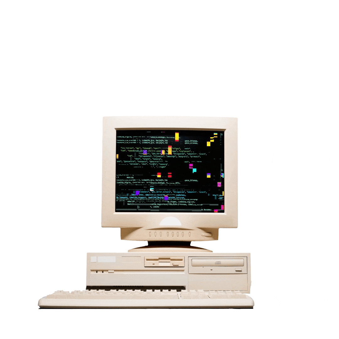 ALX - Programmes - Egypt